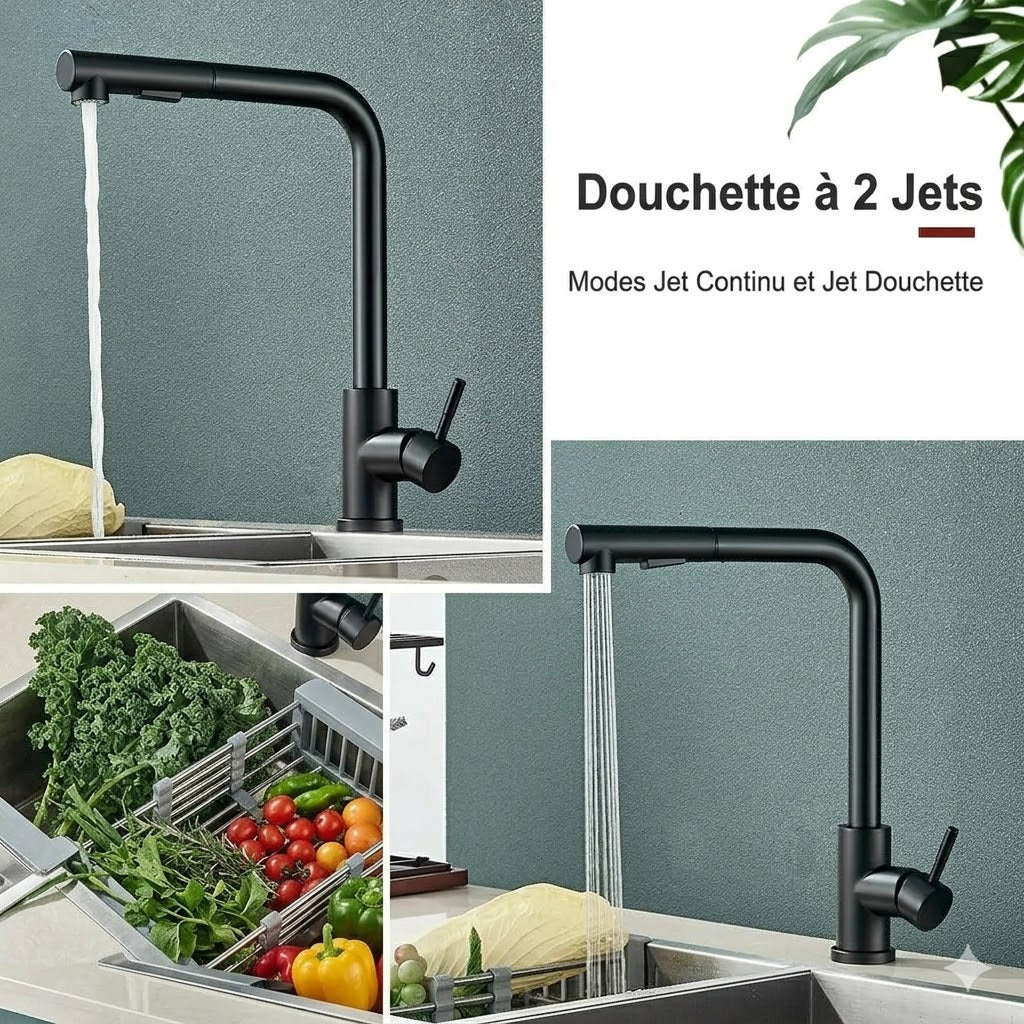 Mitigeur de Cuisine Moderne avec Douchette Amovible