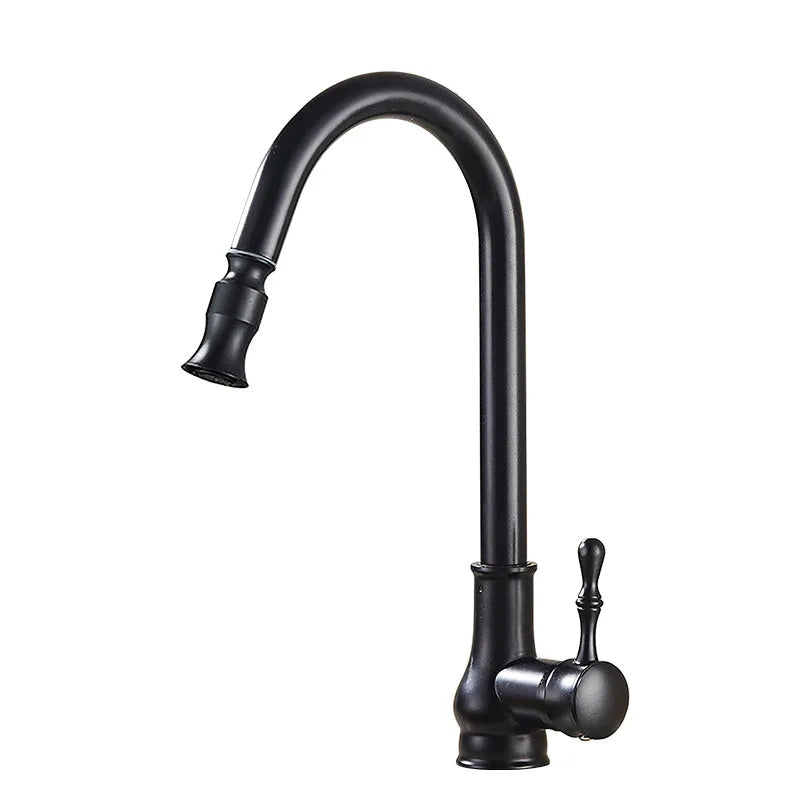 Robinet Cuisine avec Douchette Style Rétro