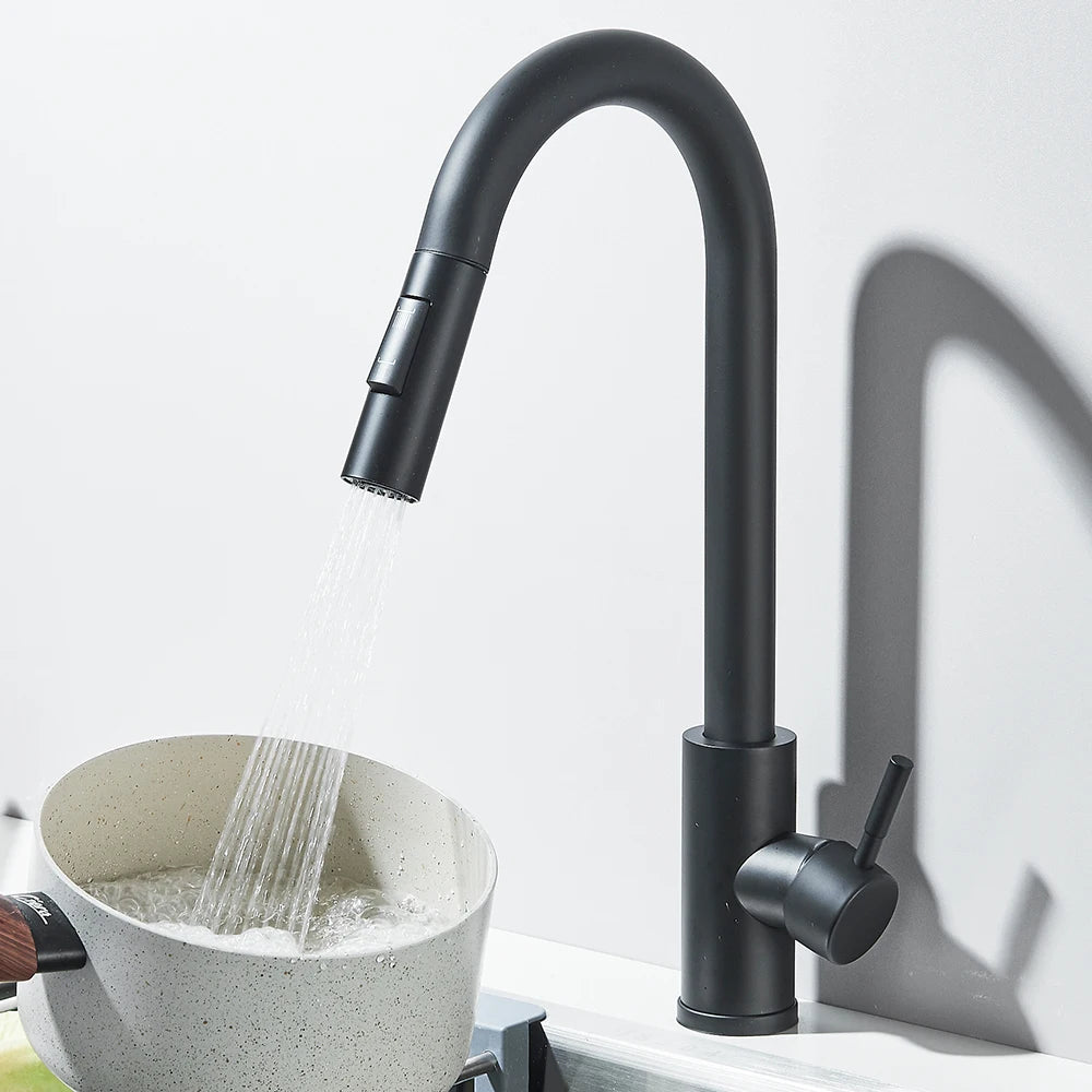 Robinet de Cuisine avec Petite Douchette Extractible