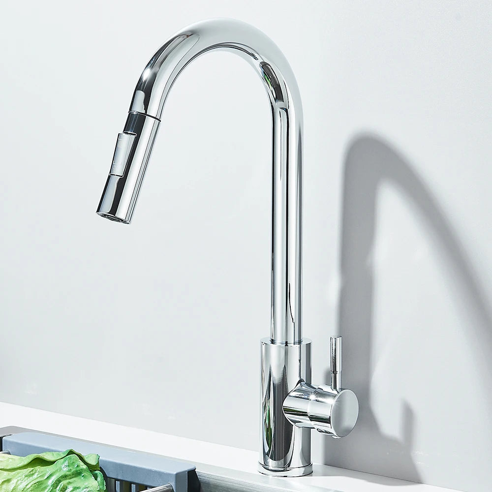 Robinet de Cuisine avec Petite Douchette Extractible