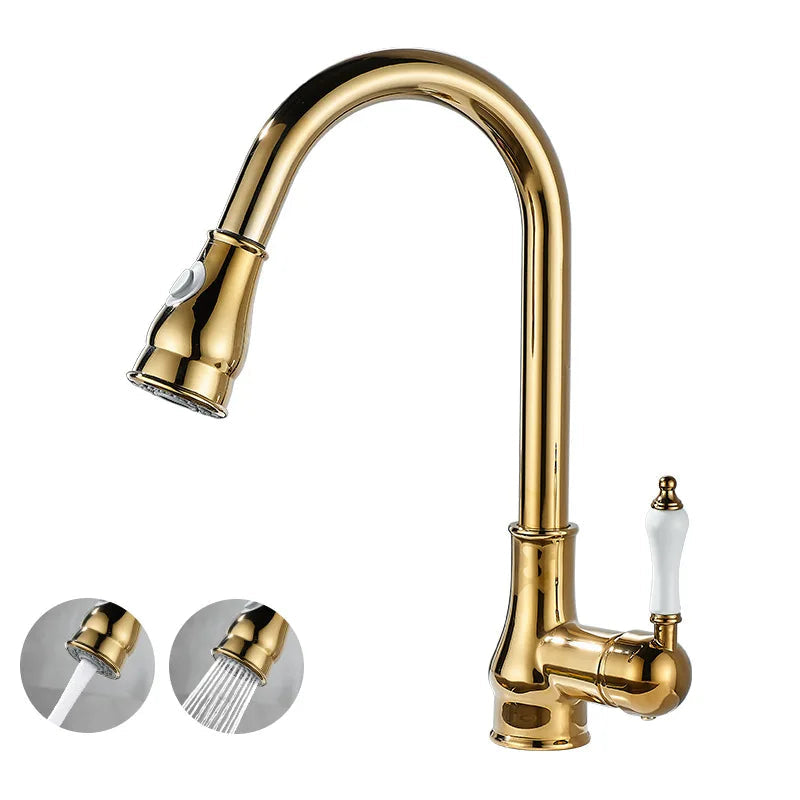 Robinet Cuisine avec Douchette Style Rétro