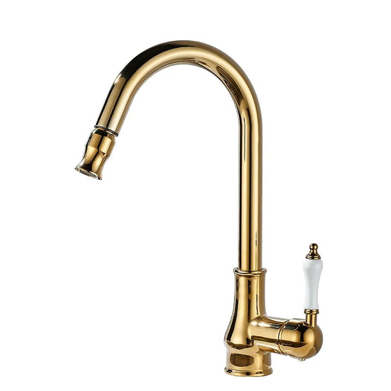 Robinet Cuisine avec Douchette Style Rétro