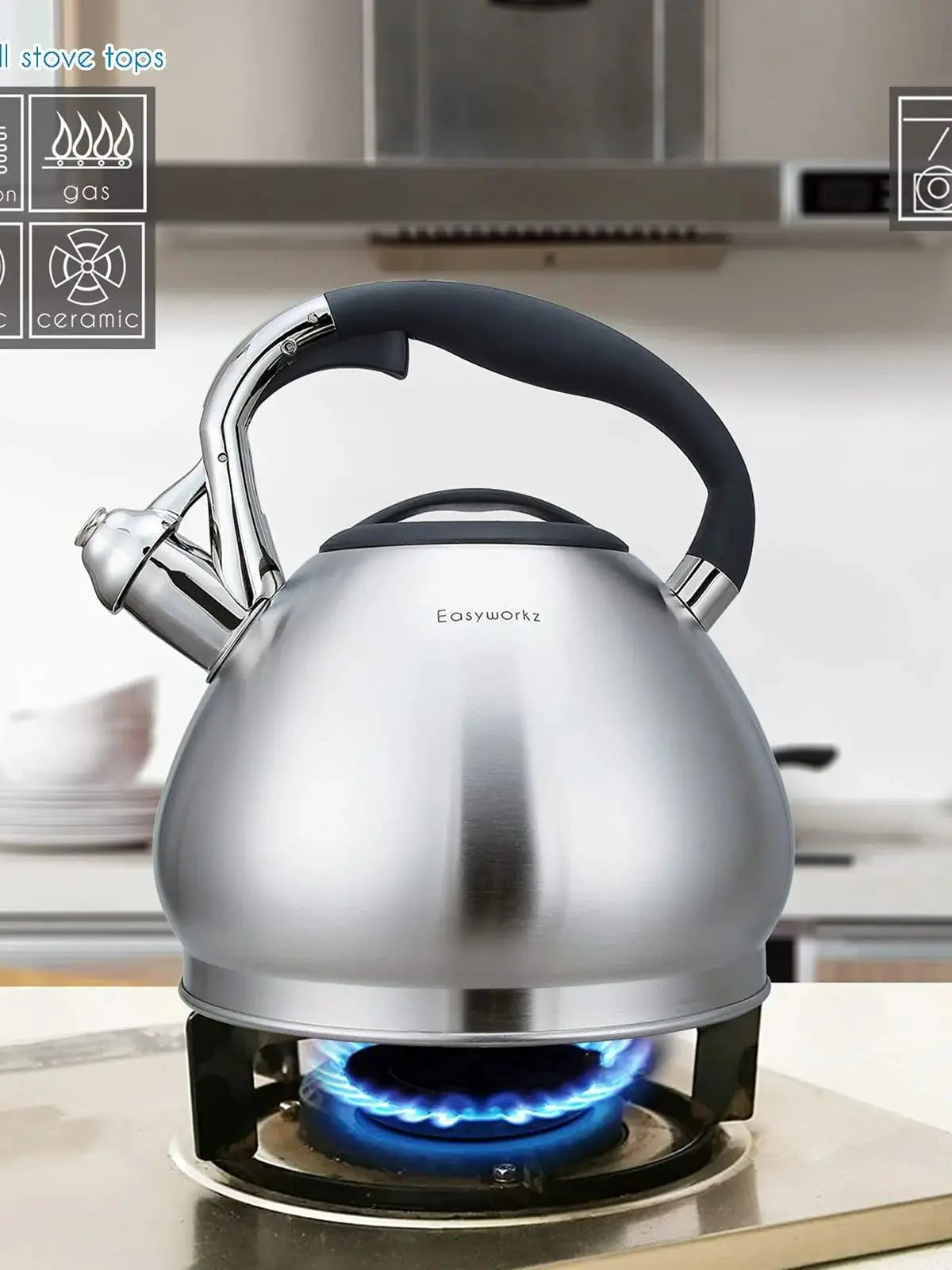 Bouilloire Sifflante en Inox